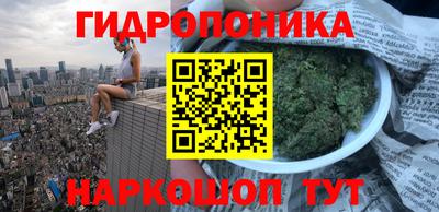 PSILOCYBIN Кинель
